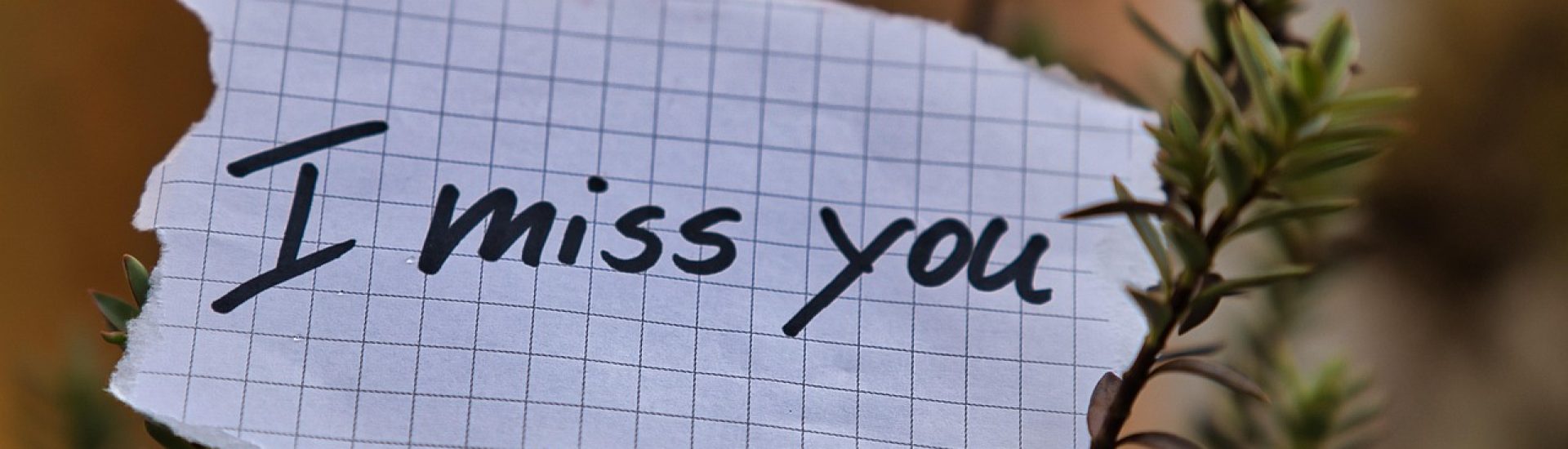 miss, nostalgia, note, message, nature, love, romantic, separation, plant, grief